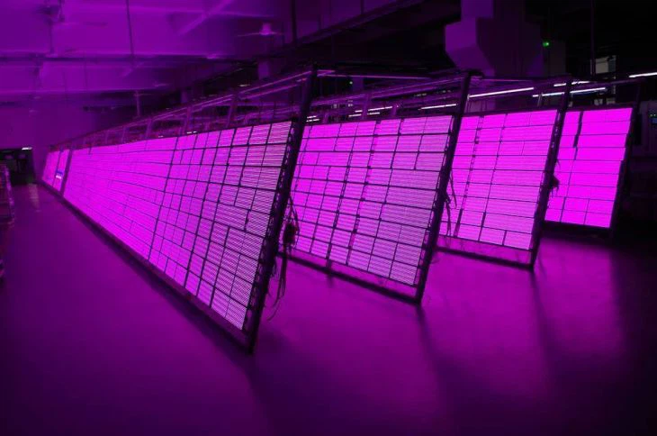 P3 Indoor LED Module 3in1 RGB Full Color Display Module